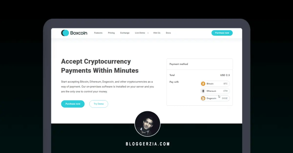 Read more about the article Boxcoin Lifetime Deal | Accept Cryptocurrencies As Payment